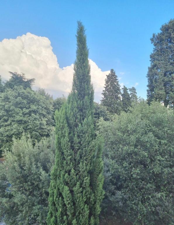 Lovely Italian small tower - 5