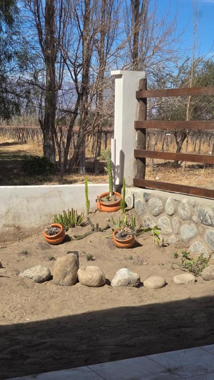 Aromas de Cafayate - 3