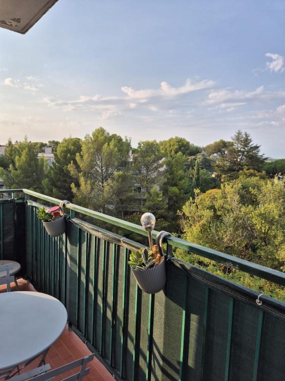 T3 Cosy et lumineux avec terrasse - 4