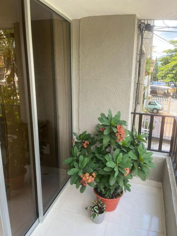 Full apartment near El Poblado - 4