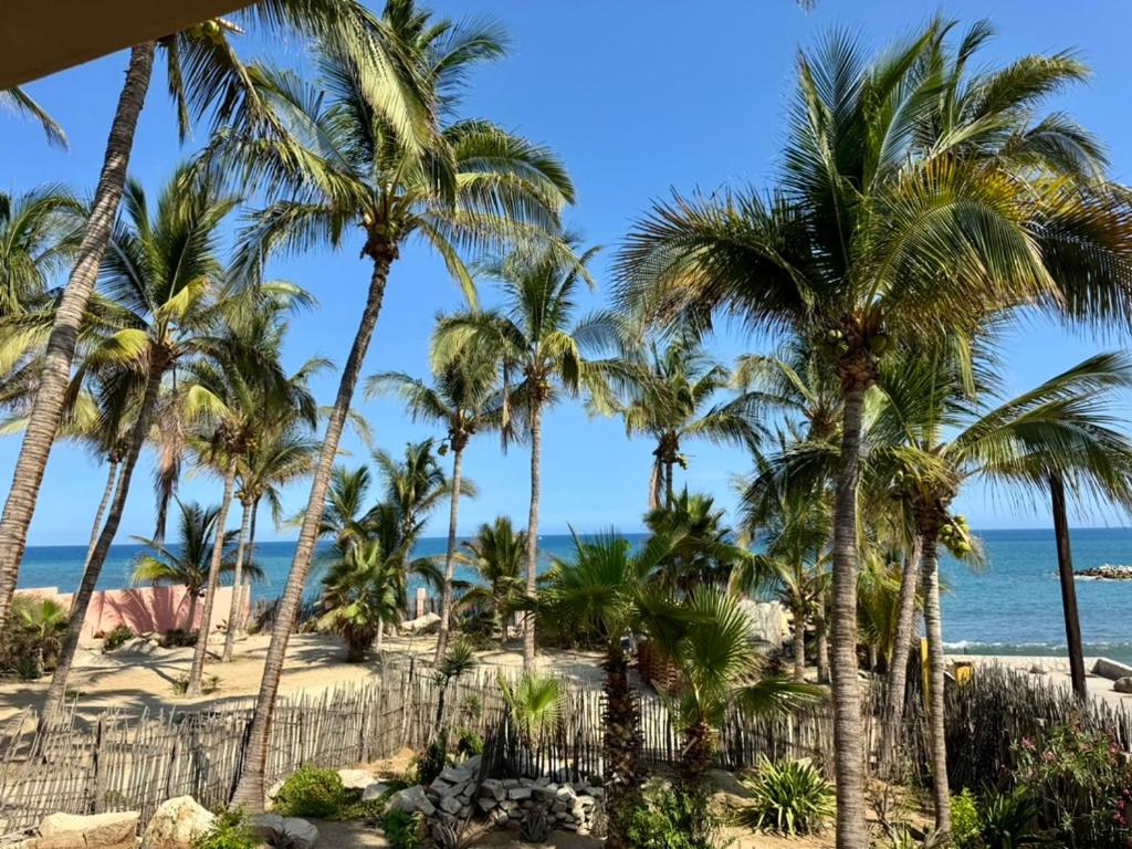 Oceanfront Condo in San José del Cabo - 1