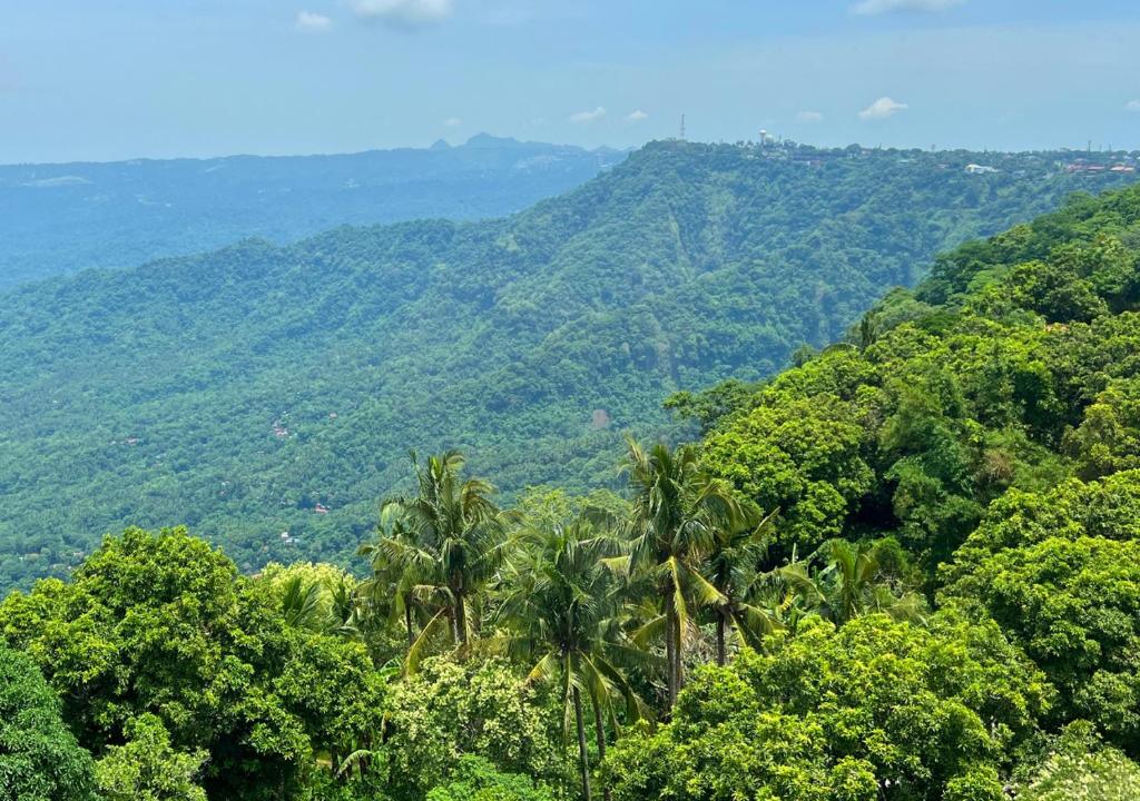 Surrounding environment