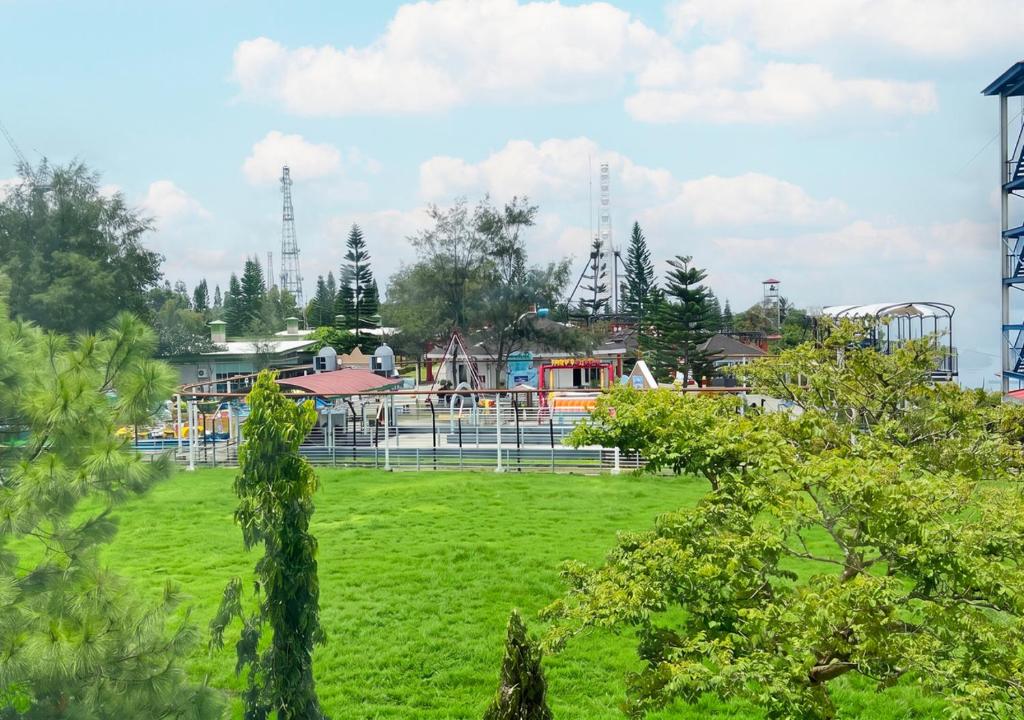View