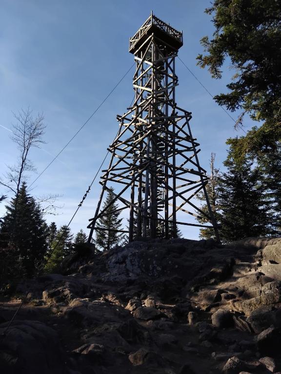 Les Glycines studio - 4