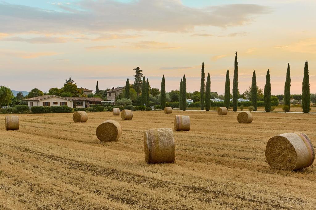 All'Antica Mattonata - 5