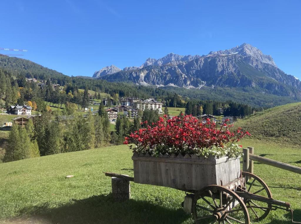 Modern Comfort in Cortina - 4