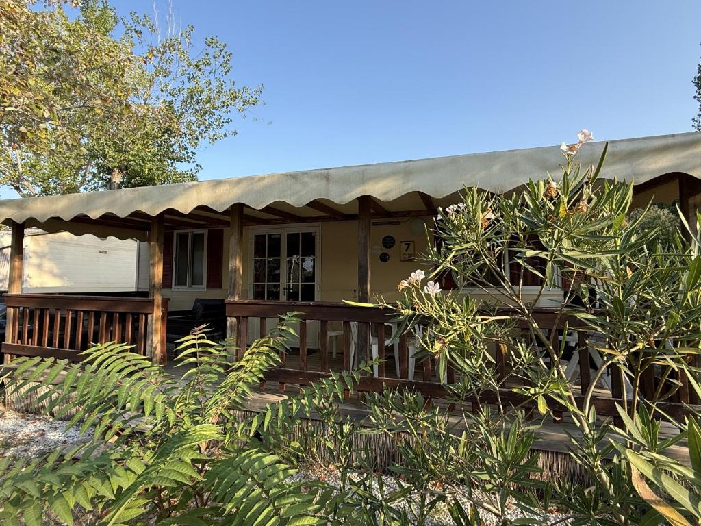 Aranciona 7 - Camping Paradiso - 1