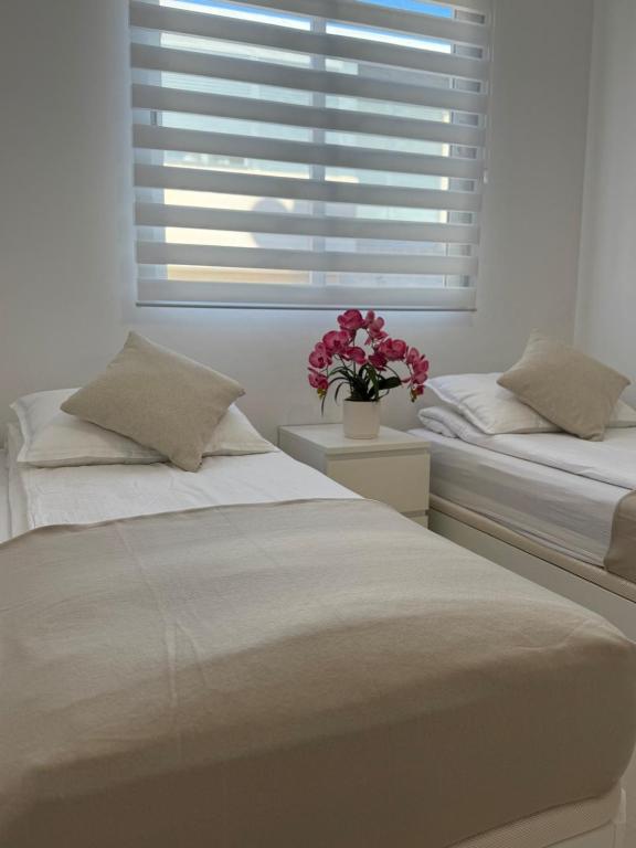Mia Casa Torrevieja apartament - 5