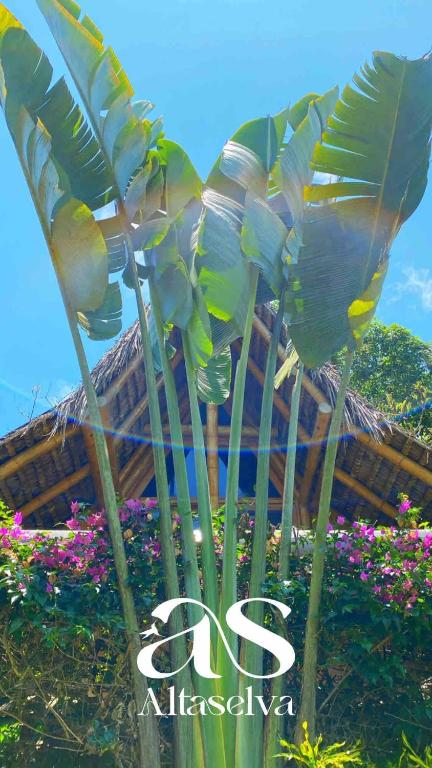 Cabin with incredible ocean and rainforest views - 3