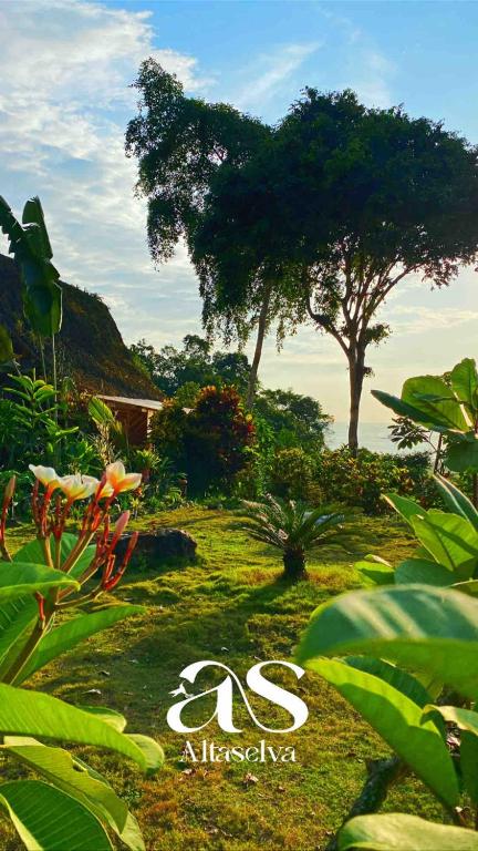 Cabin with incredible ocean and rainforest views - 4