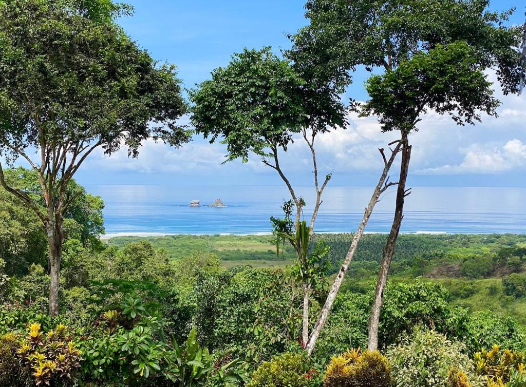 Cabin with incredible ocean and rainforest views - 5