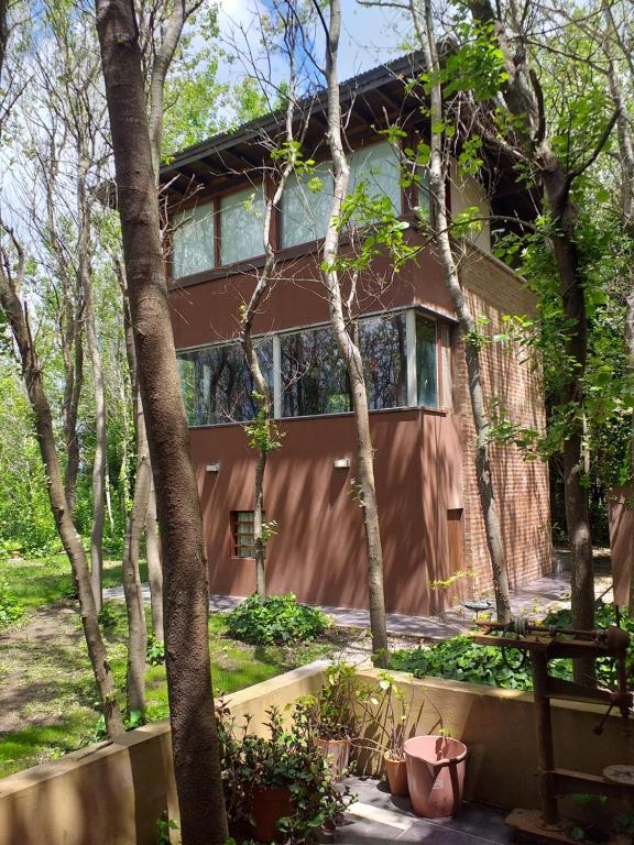 Casas del Arbol 2 - 1