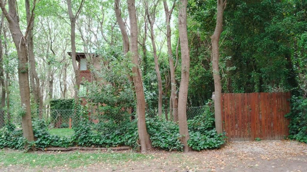 Casas del Arbol 2 - 4