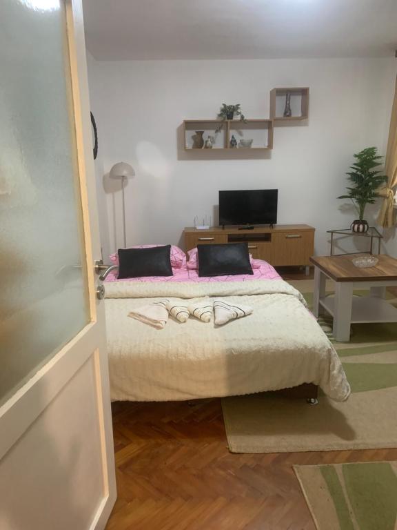 Koševo Cozy Studio - 4