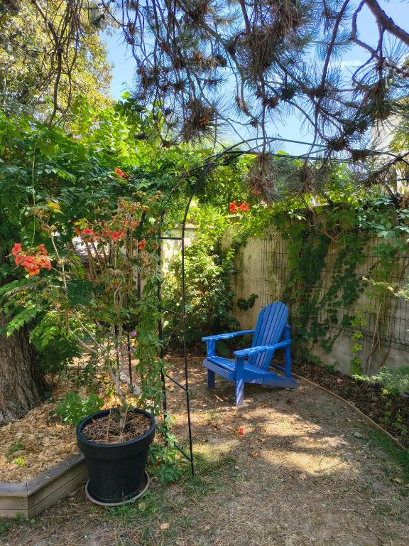 Le Petit Parc - 4