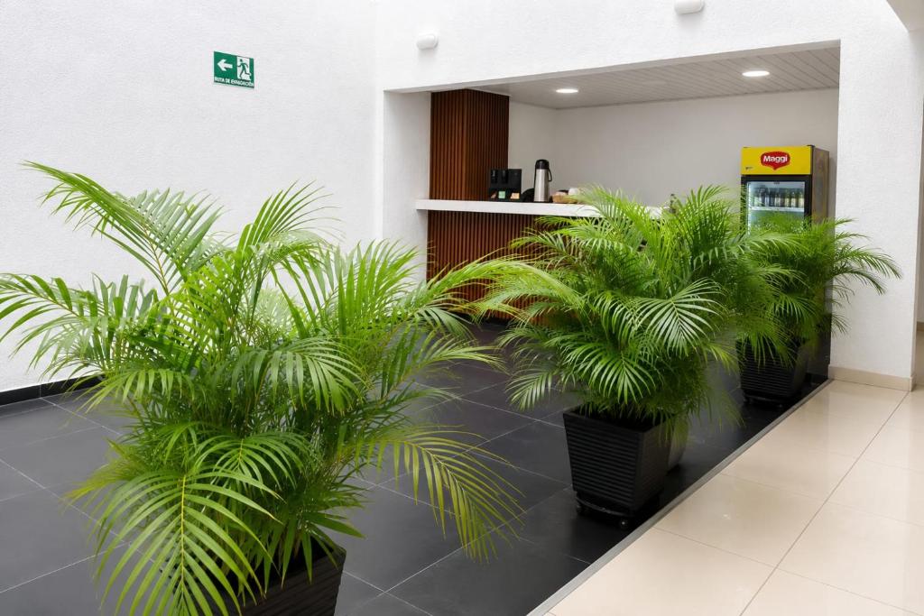 Hotel Gama Cartagena - 4