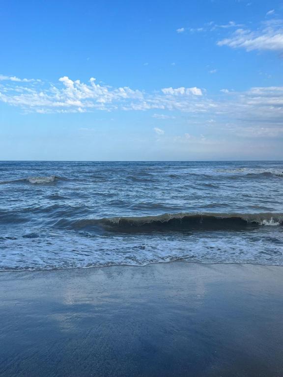 Departamento super luminoso en San Bernardo - 2