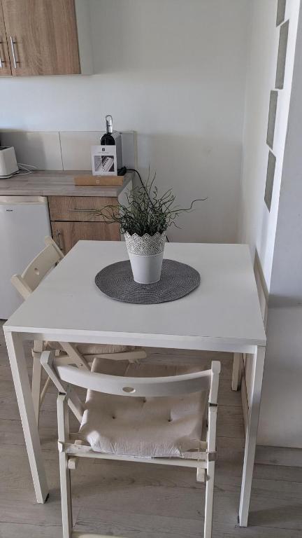 Studio rez-de-chaussée de maison - 4