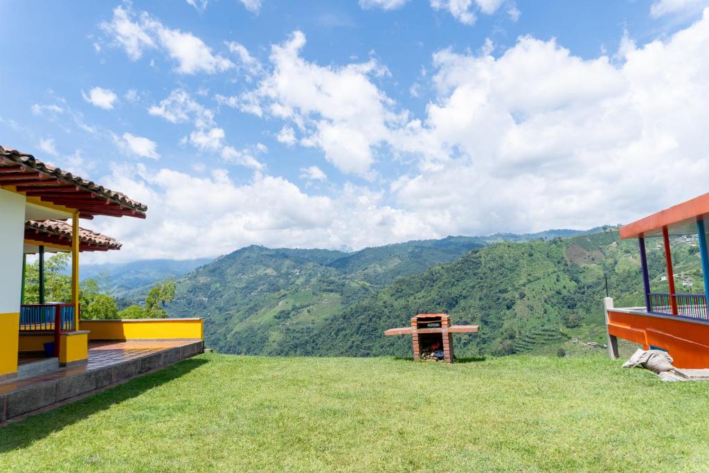 Finca Leonora Coffee - 3