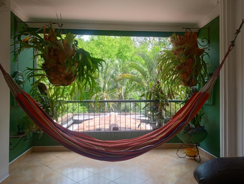 Cómoda habitación con vista a la naturaleza - 1