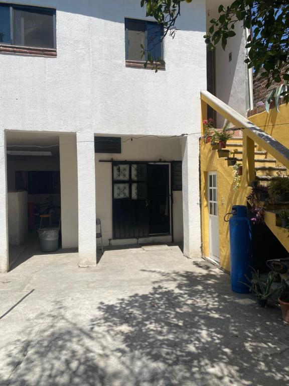 El henequén - 2