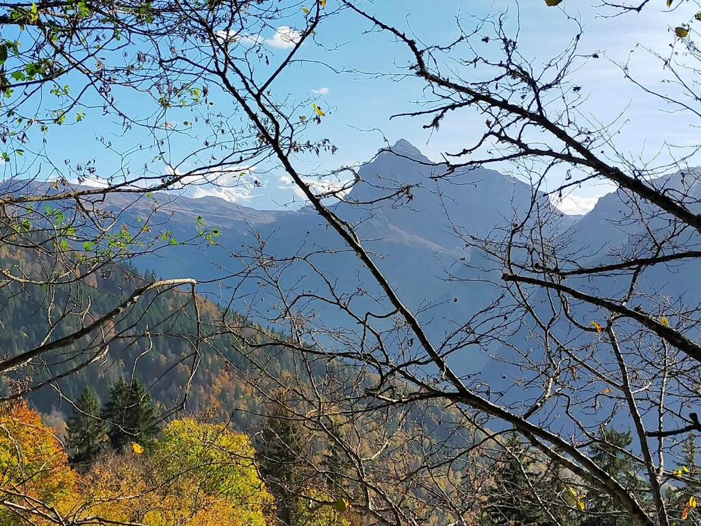 Le Bouquetin - 2