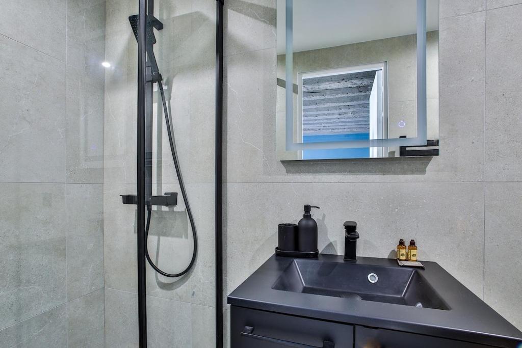 Beautiful Apartment in the Marais District - 3