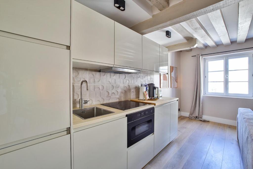 Heart of Marais a Large 1-Bedroom Apartment - 3