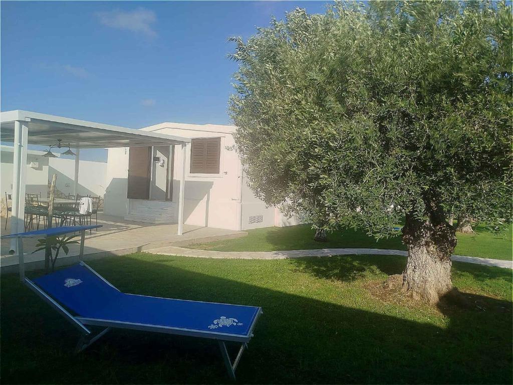 Villa Waterfront in Santa Maria del Focallo 58180 - 2