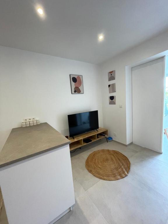 Magnifique appartement vue mer sur le Cap Dramont - 4