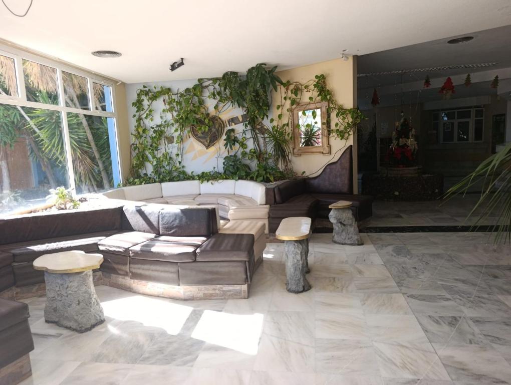 Playa Verde - 4