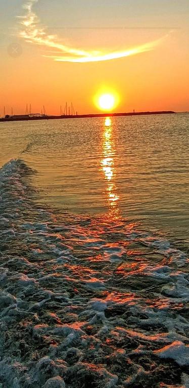 Le Havre de Paix Marseillan plage - 2