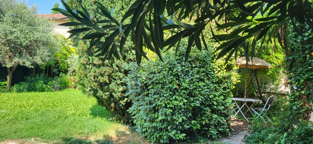 studio cosy avec coin jardin - 3