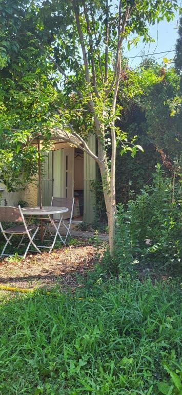 studio cosy avec coin jardin - 2