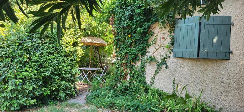 studio cosy avec coin jardin - 1