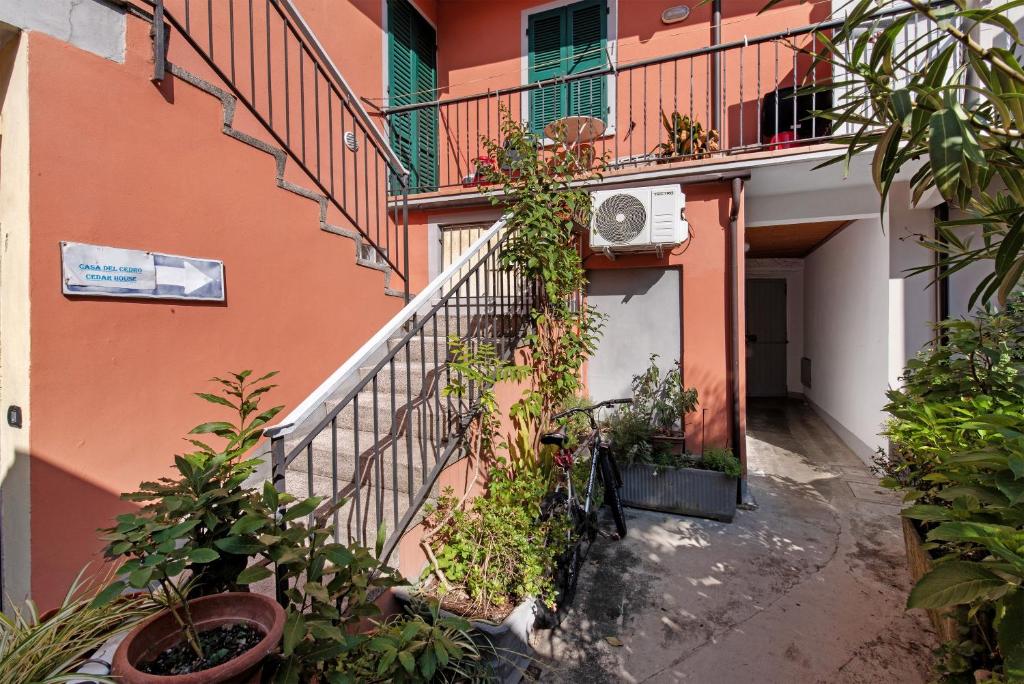 Casa del cedro - 4