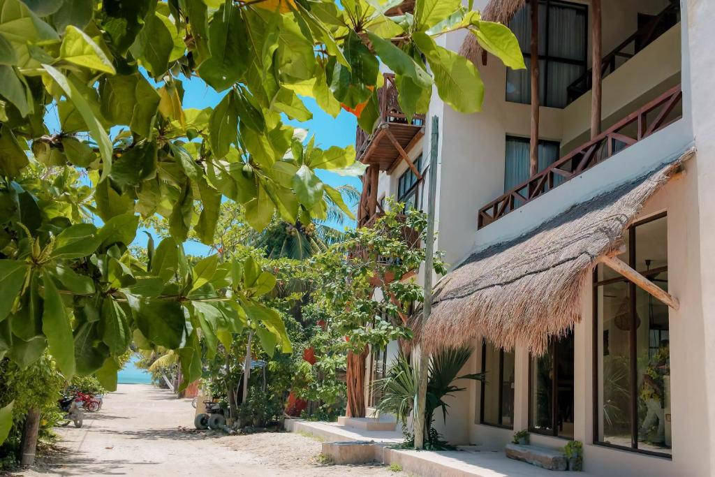 Hotel Joanza Holbox - 3