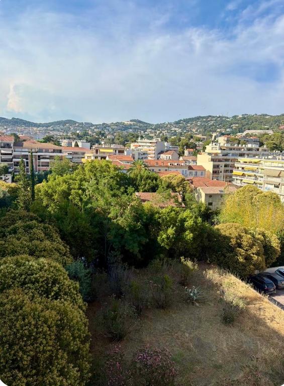 Appartement trois pièces spacieux à Cannes - 5