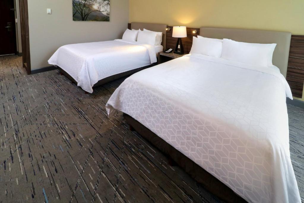 Holiday Inn Express & Suites Monterrey Valle by IHG - 5