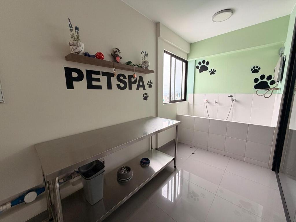 Cozy modern apartment in San Miguel - 4