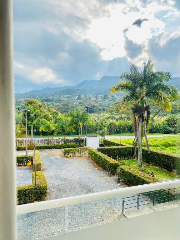 Hotel Palmeras De Luz - 3