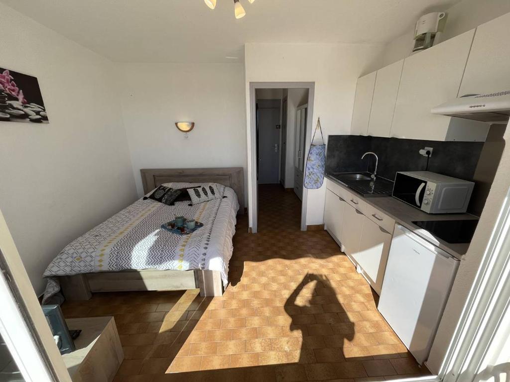 Appt Studio CAP D'AGDE NATURISME CN060-L02 - 1