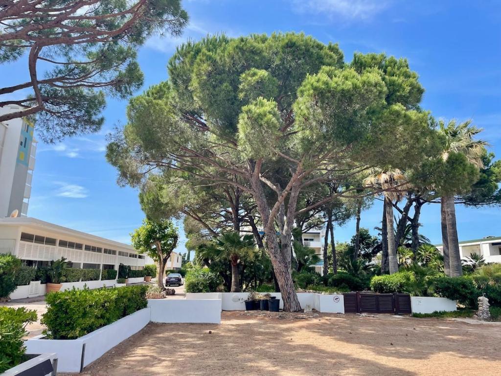 Studio climatisé en bord de mer et Plage privée - 1