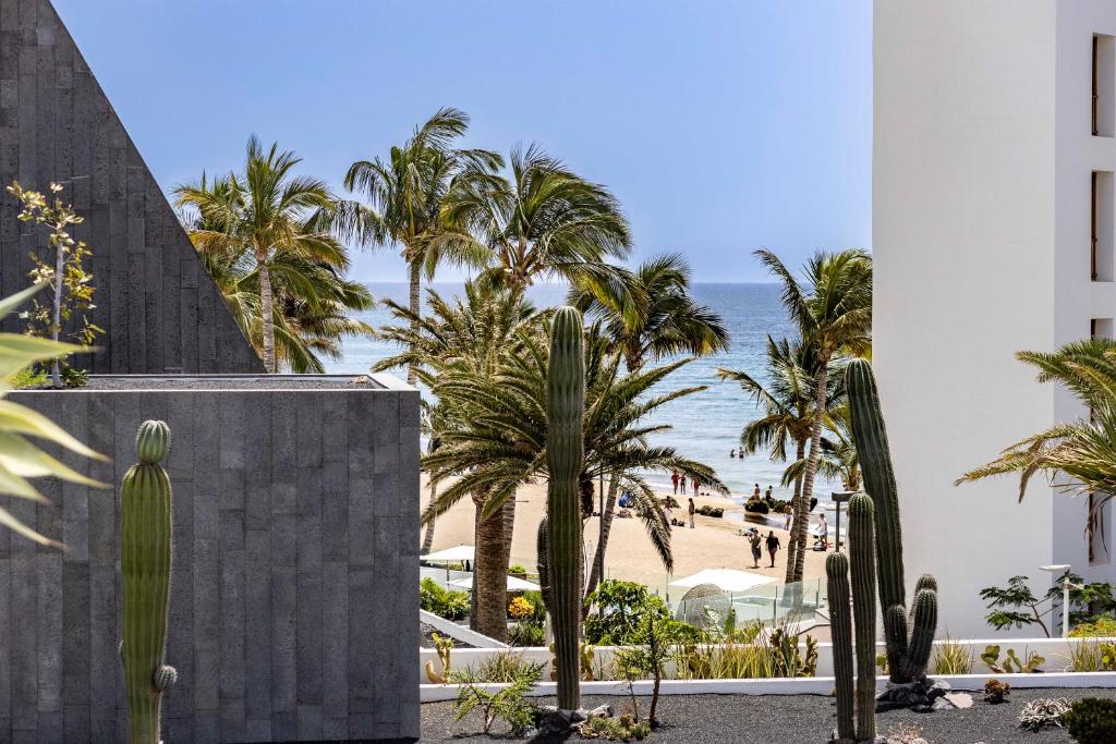 Luxury Apartment Playa Chica - 3