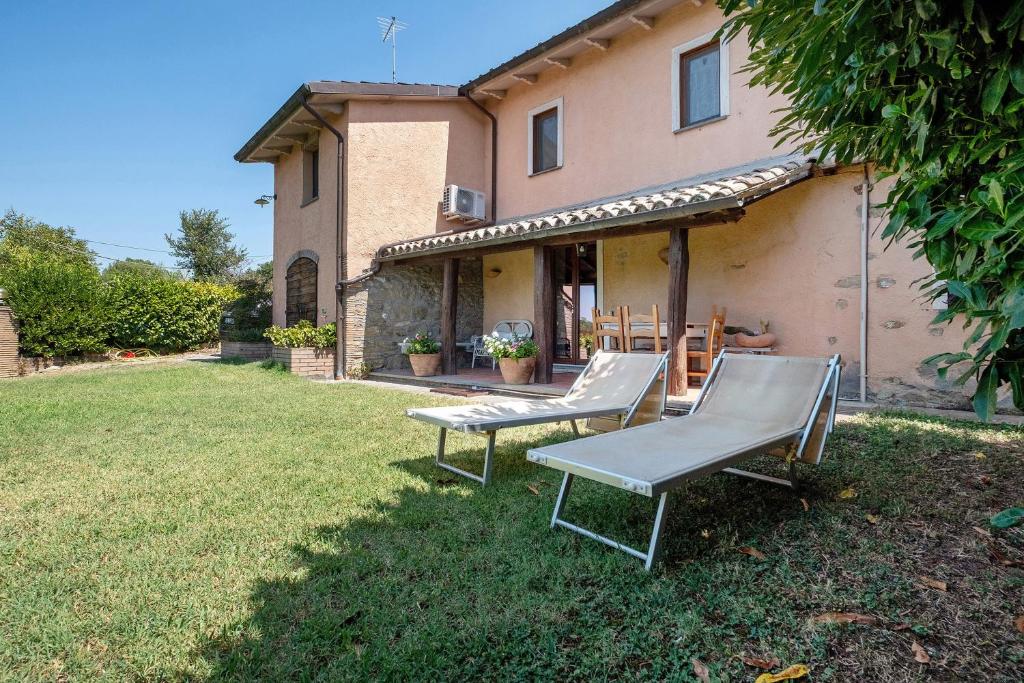 Tra gli ulivi e il panorama - 1