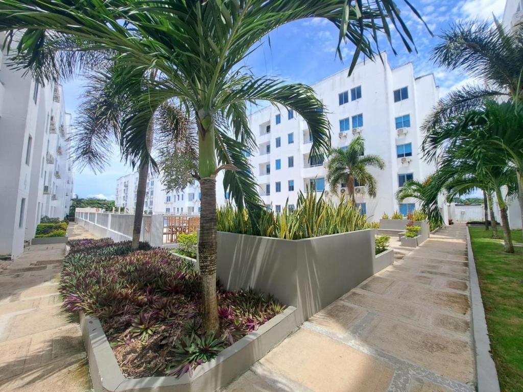 Hermoso apartamento en caribe campestre - 1