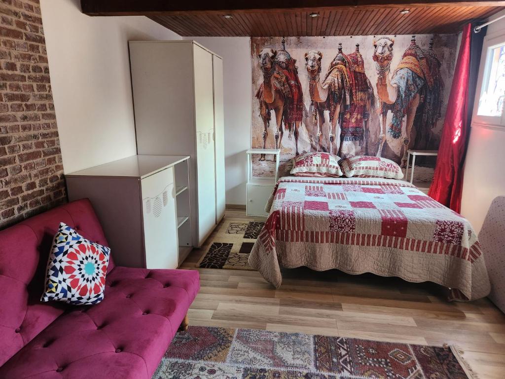 Très beau studio pour les vacances à Saint Raphaël - 5