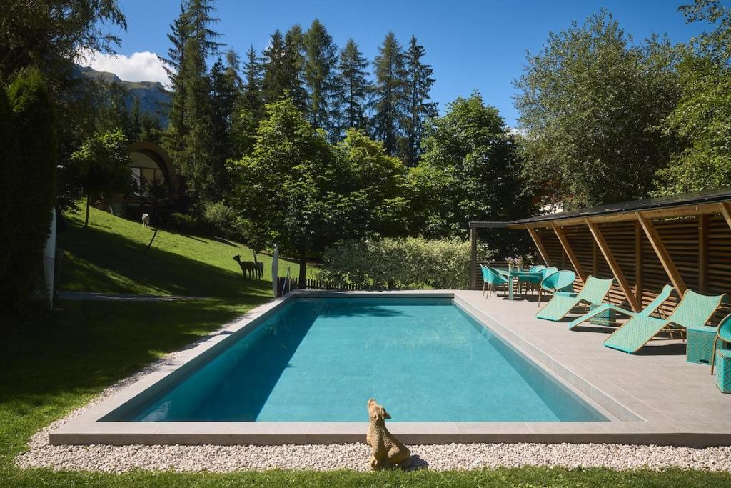 Chalet Mi Amur - 2