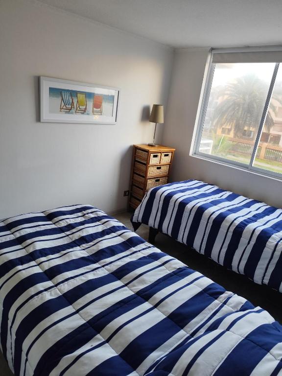 Apartment in La Serena - 5