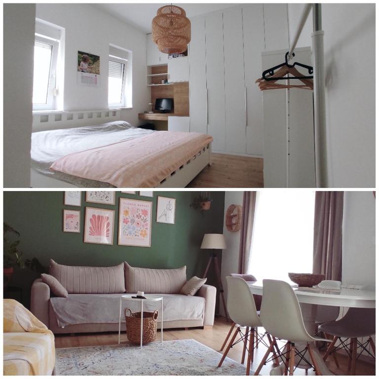 Cozy green apartment Ruzveltova - 4